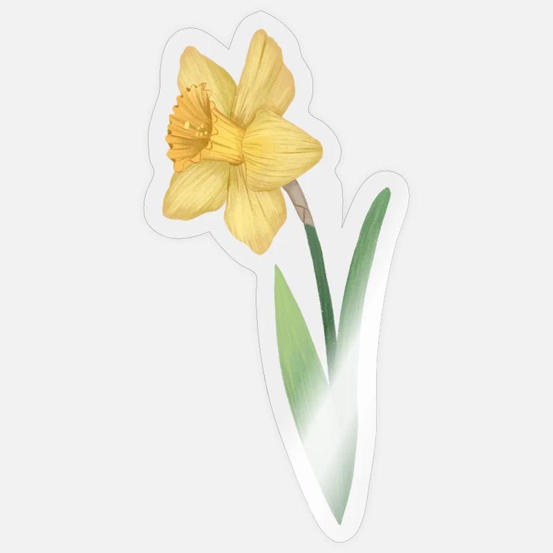 Daffodils (Narcissus) Daffodil - Sticker size S (10 x 10 cm) - transparent glossy