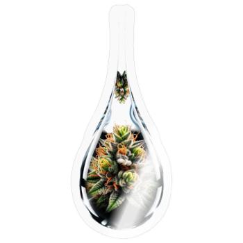 Cannabisbud im Glastropfen - Hanf - Weed - Sticker Größe S (10 x 10 cm) - Transparent glänzend - Vorne