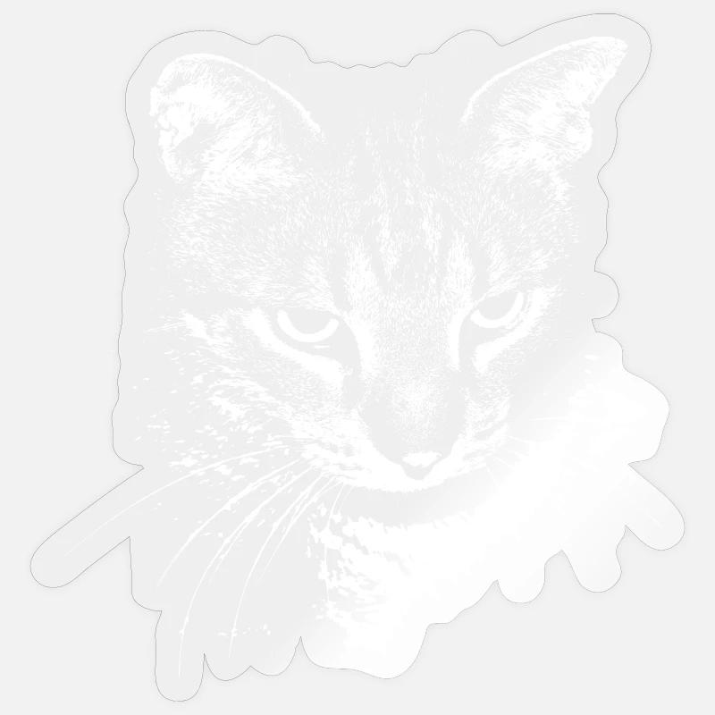Chat Chat Chat Chat Chemise Cadeau - Sticker taille S (10 x 10 cm) - brillant transparent