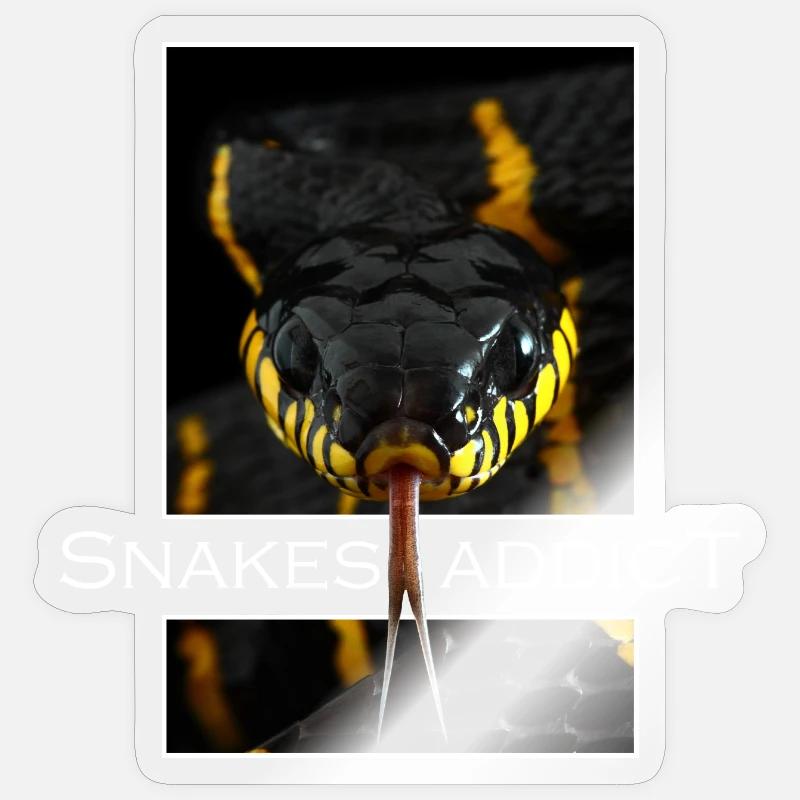Snakes addict - Sticker taille S (10 x 10 cm) - brillant transparent