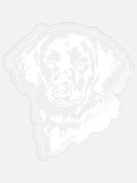 Stabjihoun Portrait Hunde Hund Stabyhoun Wilsigns - Sticker Größe S (10 x 10 cm) - Transparent glänzend