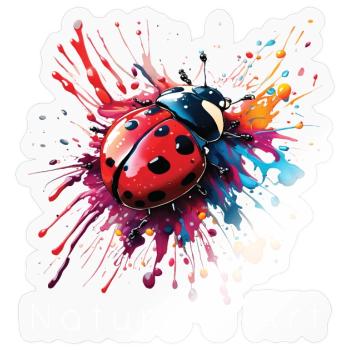 Conception de coccinelle colorée, art de la nature, texte blanc - Sticker taille S (10 x 10 cm) - brillant transparent - Devant