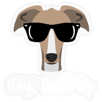 Hey Paws Up Greyhound Cool Dog Sonnenbrille - Sticker Größe S (10 x 10 cm) - Transparent glänzend - Vorne