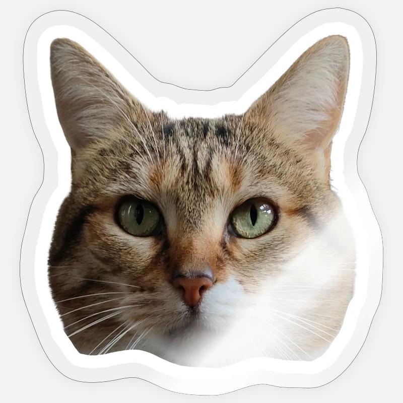 Sticker Missty Sticker taille S (10 x 10 cm)