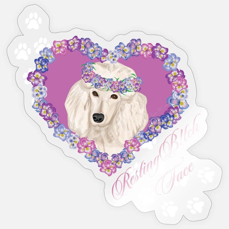 Resting B!tch Face Poodle - Sticker size S (10 x 10 cm) - transparent glossy