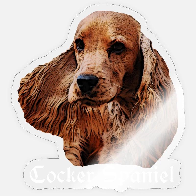 Cocker Spaniel,Spaniel,Dog Head,Pedigree Dog, Sticker size S (10 x 10 cm)