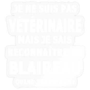 Erkennt einen Dachshumor sarcsme - Sticker Größe S (10 x 10 cm) - Transparent glänzend - Vorne
