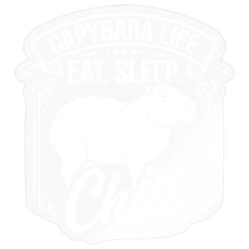 Vie à Capybara : Mange, Dors et chill - Sticker taille S (10 x 10 cm) - brillant transparent - Devant