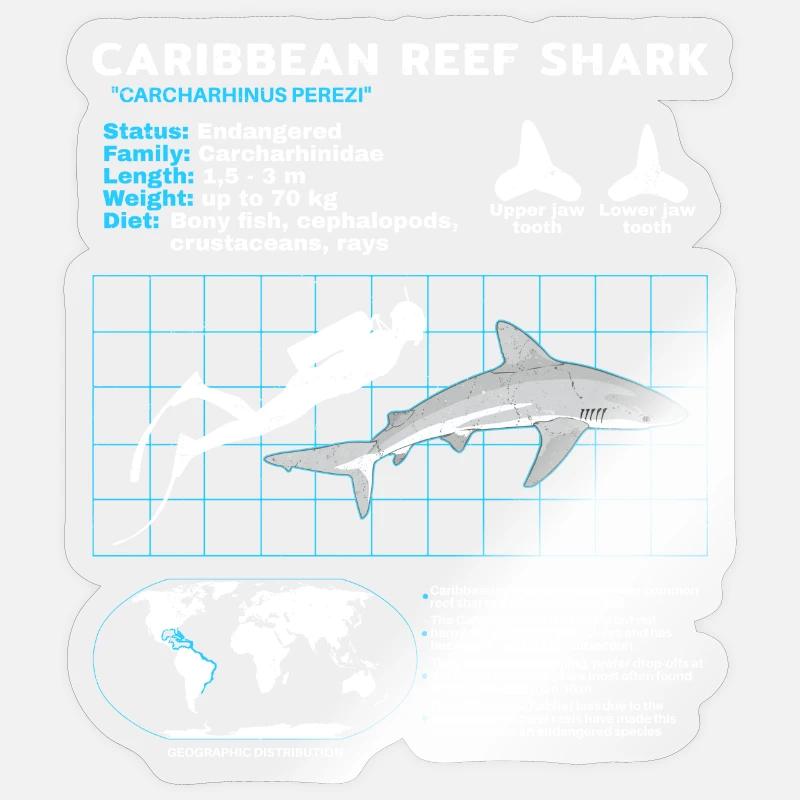 Fiche technique du requin de récif des Caraïbes - Sticker taille S (10 x 10 cm) - brillant transparent