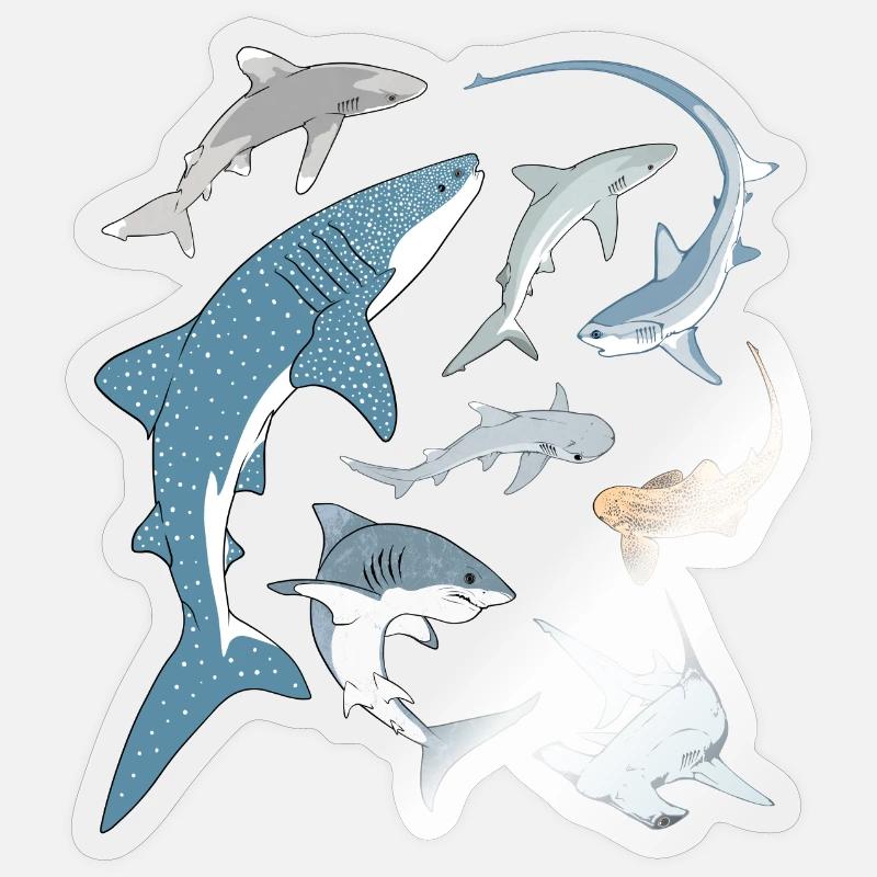 Types de requins Espèces de requins - Sticker taille S (10 x 10 cm) - brillant transparent
