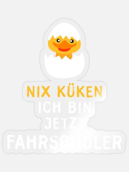 Küken Fahrschüler Auto fahren Fahrschule 18 stolz - Sticker Größe S (10 x 10 cm) - Transparent glänzend