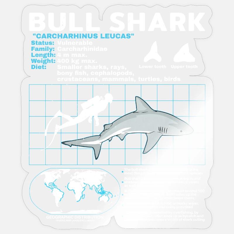 Bull Shark Data Sheet - Sticker size S (10 x 10 cm) - transparent glossy