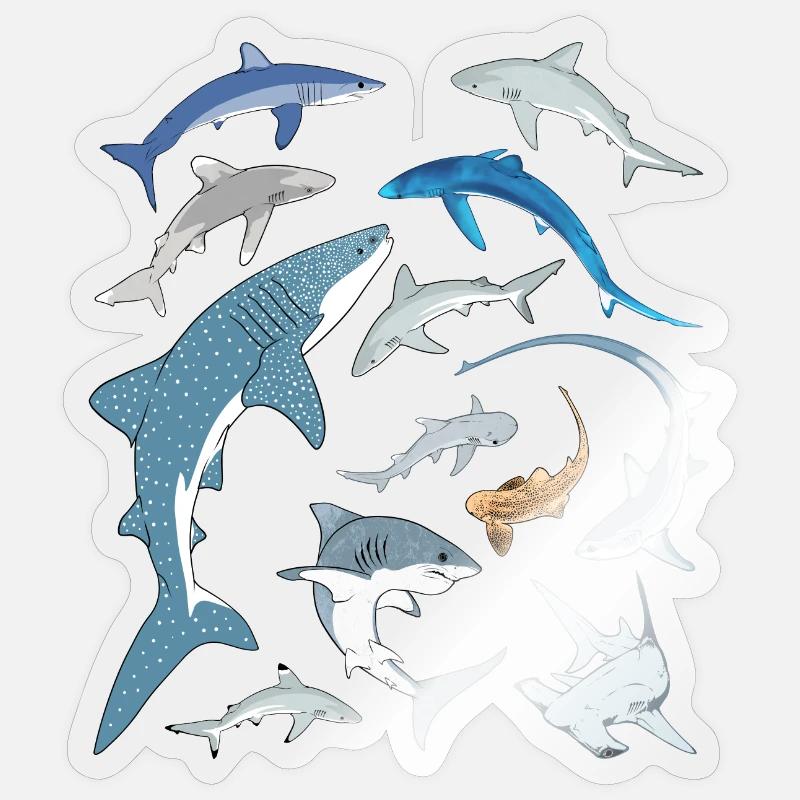 Requin bleu, requin-baleine, requin-marteau, requin requin, espèce de requin - Sticker taille S (10 x 10 cm) - brillant transparent