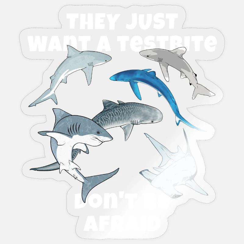 Espèces de requins : Requin bleu, Requin tigre, Requin marteau - Sticker taille S (10 x 10 cm) - brillant transparent