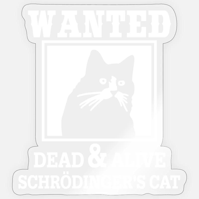 Schrödingers Katze gesucht, Nerdiges Quantenphysik - Sticker Größe S (10 x 10 cm) - Transparent glänzend