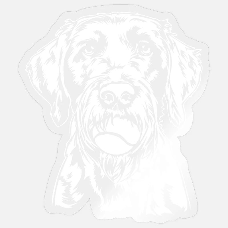 Deutsch Drahthaar Ball Balljunkie Hunde Wilsigns - Sticker størrelse S (10 x 10 cm) - gennemsigtig blank