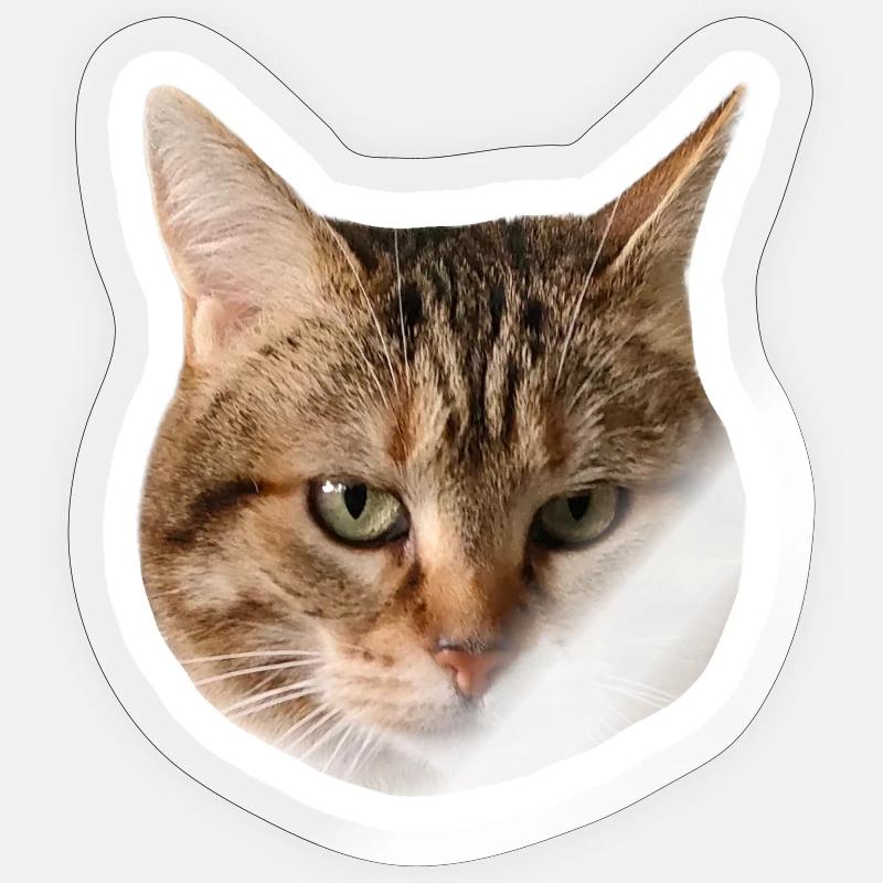 Missty sticker triste - Sticker taille S (10 x 10 cm) - brillant transparent