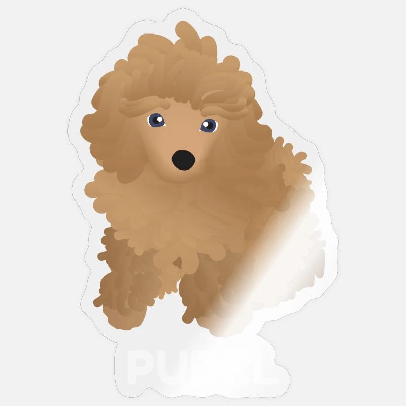 Chiot Caniche - Sticker taille S (10 x 10 cm) - brillant transparent