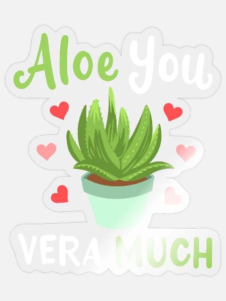 Aloe Vera Sukkulente - Sticker Größe S (10 x 10 cm) - Transparent glänzend