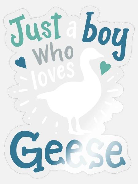 Gänse Gans Gänseliebhaber - Sticker Größe S (10 x 10 cm) - Transparent glänzend