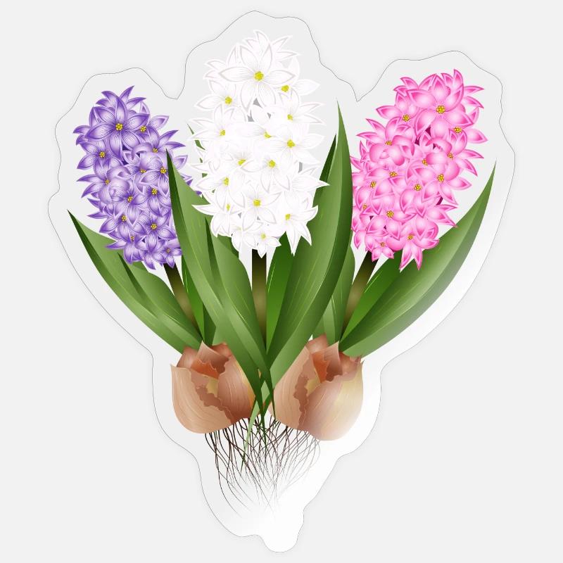 Jacinthes dessinées à la main - Sticker taille S (10 x 10 cm) - brillant transparent