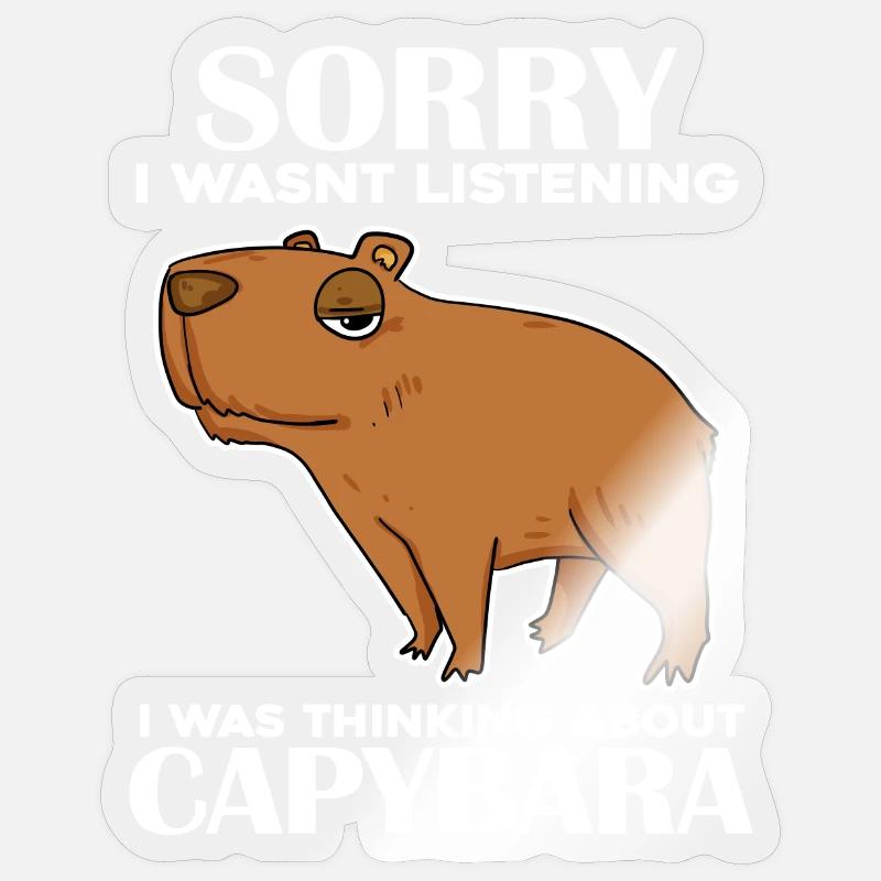 Capybara Capybara Cadeau - Sticker taille S (10 x 10 cm) - brillant transparent