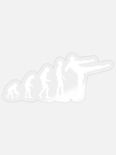 Evolution Kickboxen, MMA, Kampfsport - Sticker Größe S (10 x 10 cm) - Transparent glänzend