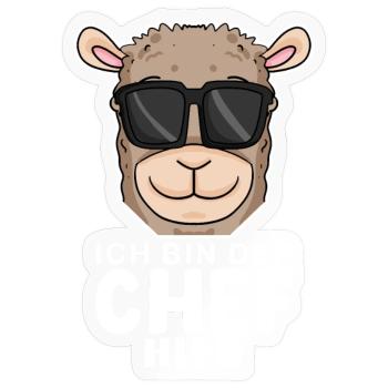 Chef Spruch mit Alpaka Motiv - Sticker Größe S (10 x 10 cm) - Transparent glänzend - Vorne