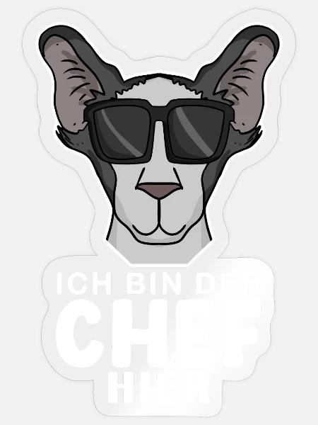Chef Spruch Anführer Hund - Sticker Größe S (10 x 10 cm) - Transparent glänzend