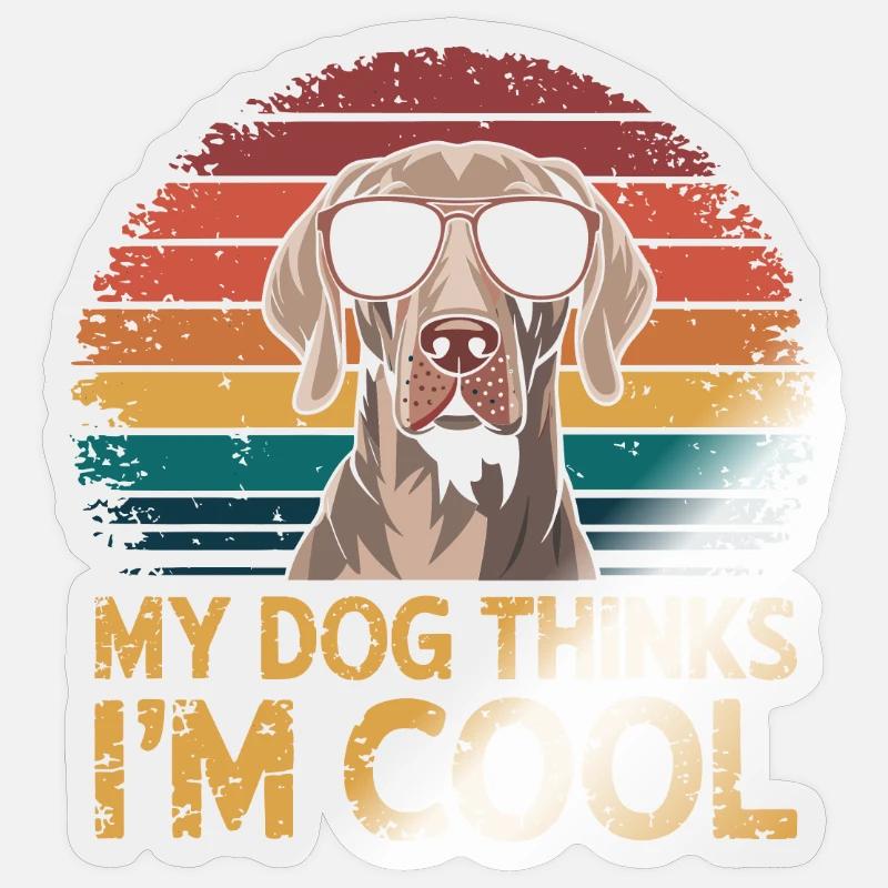 Braque de Weimar Mon chien pense que je suis cool - Sticker taille S (10 x 10 cm) - brillant transparent