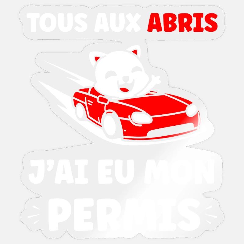 Panda in Red Cabrio Allowed Sticker size S (10 x 10 cm)