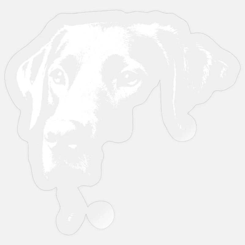 Labrador design stylé - Sticker taille S (10 x 10 cm) - brillant transparent
