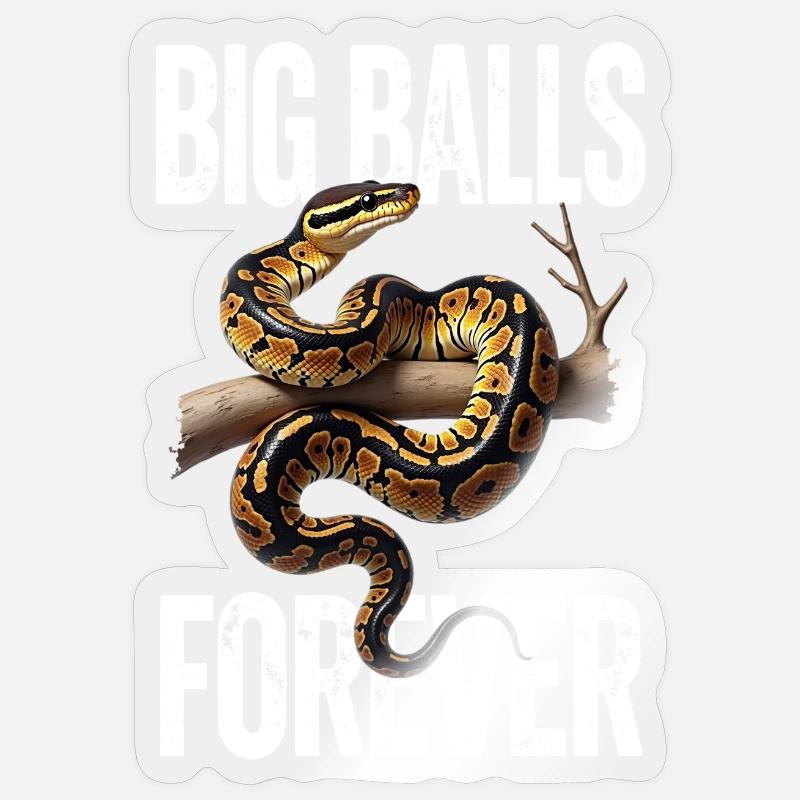 Königspython Schlangen Liebhaber Terrarium Python Sticker Größe S (10 x 10 cm)
