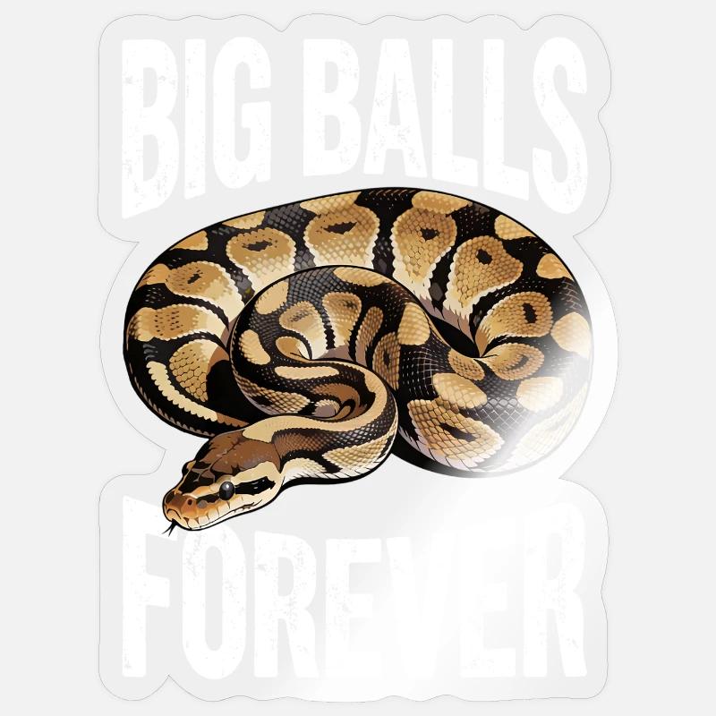 Königspython Schlangen Liebhaber Terrarium Python - Sticker Größe S (10 x 10 cm) - Transparent glänzend