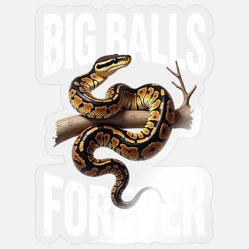 Königspython Schlangen Liebhaber Terrarium Python Sticker Größe S (10 x 10 cm)