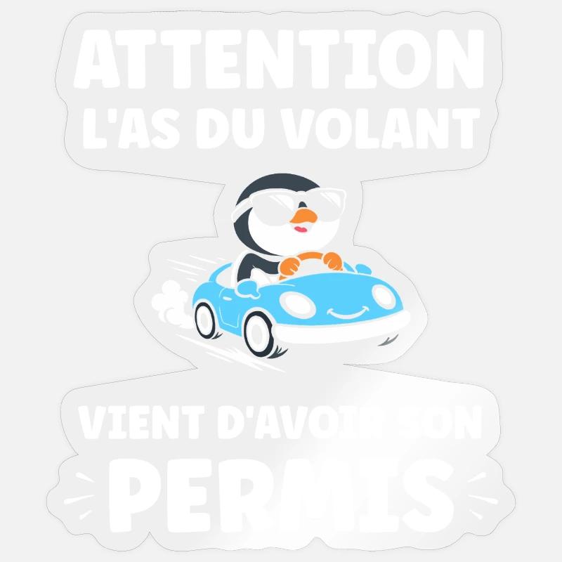 Führerschein-Humor - Sticker Größe S (10 x 10 cm) - Transparent glänzend
