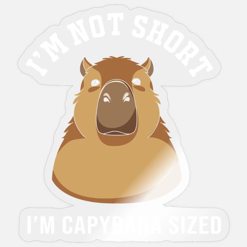 Capibara Capybara - Sticker taille S (10 x 10 cm) - brillant transparent