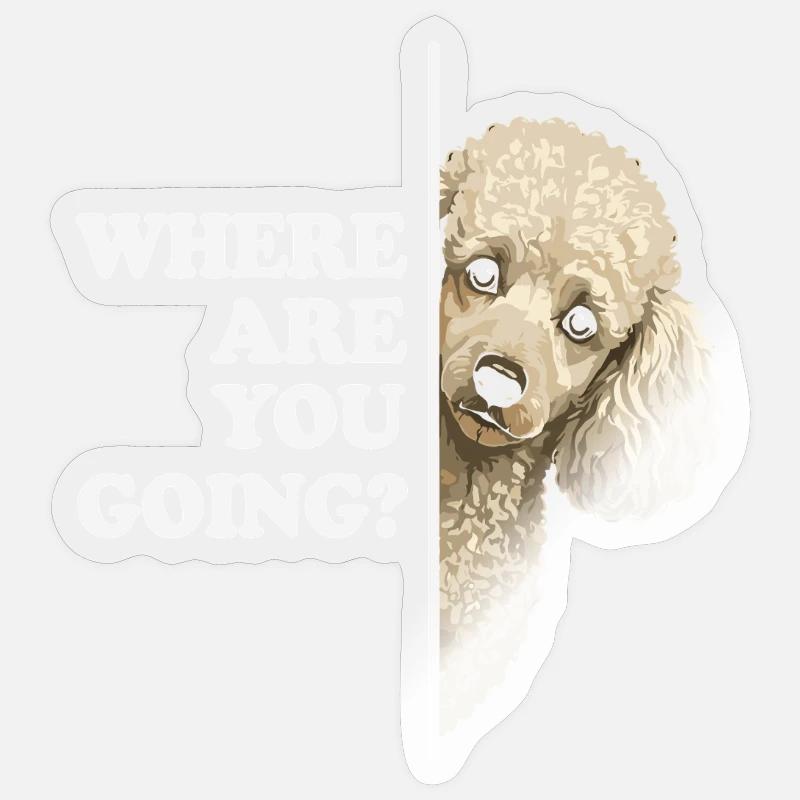 Où vas-tu ? Vue du caniche - Sticker taille S (10 x 10 cm) - brillant transparent
