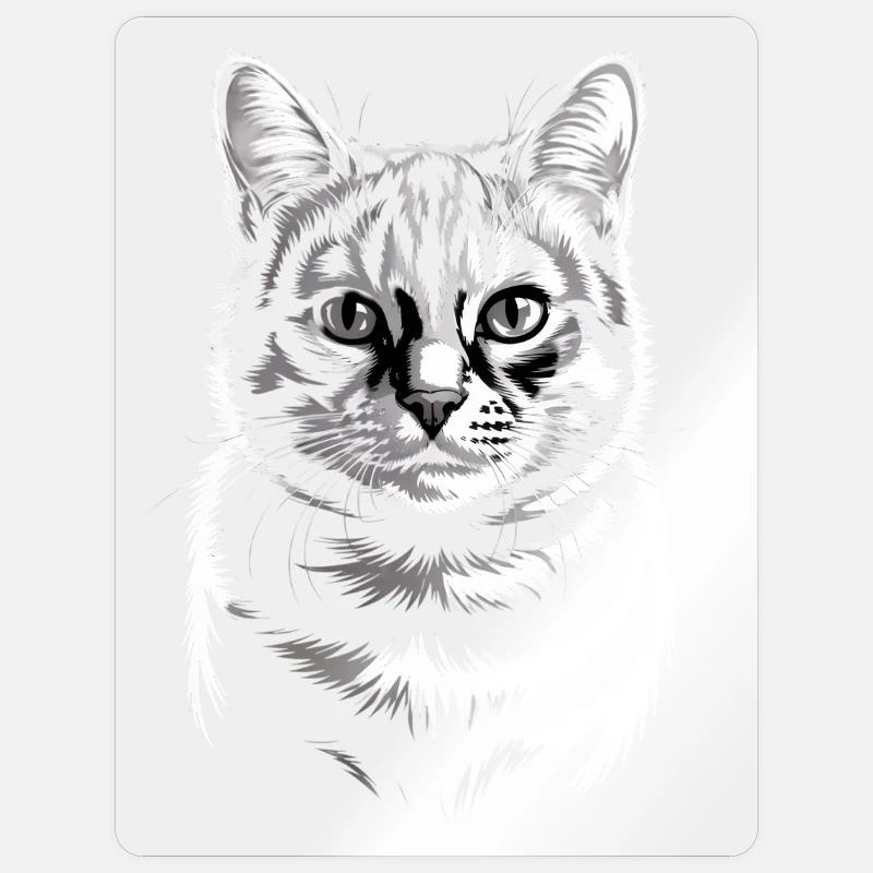 Chat - Sticker taille S (10 x 10 cm) - brillant transparent