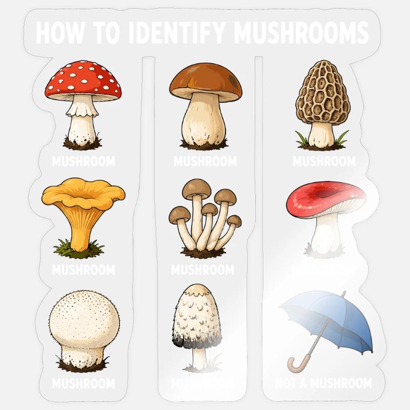 Comment identifier les champignons drôle - Sticker taille S (10 x 10 cm) - brillant transparent