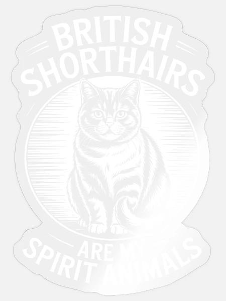 Britisch Kurzhaar Sprüche Lustiges Katze Geschenk - Sticker Größe S (10 x 10 cm) - Transparent glänzend