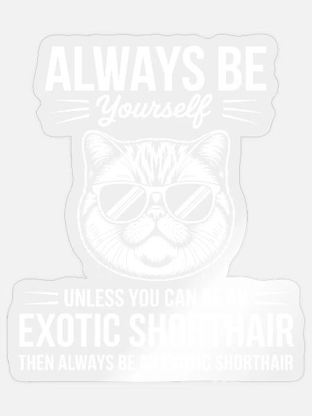 Exotische Kurzhaarkatze Lustiges Katzen Geschenk - Sticker Größe S (10 x 10 cm) - Transparent glänzend