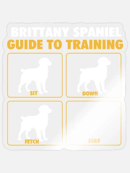 Brittany Spaniel Guide To Training – Hundepapa - Sticker Größe S (10 x 10 cm) - Transparent glänzend