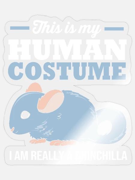 Chinchilla - Sticker Größe S (10 x 10 cm) - Transparent glänzend
