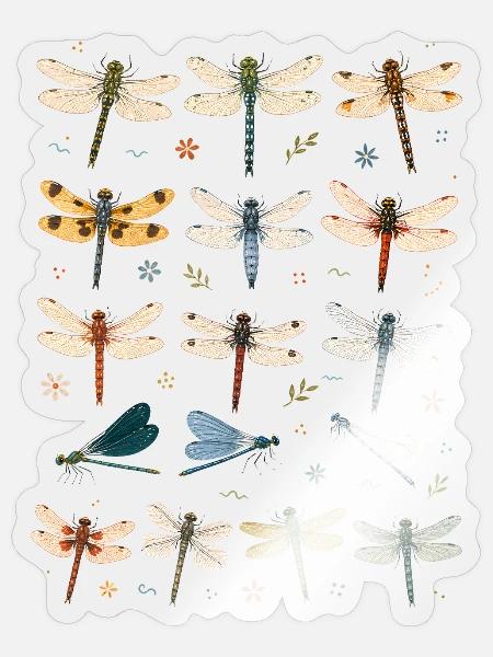 Libellen | Insekten & Naturkunde - Sticker Größe S (10 x 10 cm) - Transparent glänzend