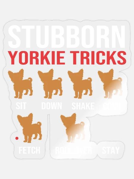 Yorkshire Terrier - Sticker Größe S (10 x 10 cm) - Transparent glänzend