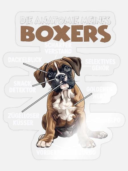 Boxer Hundebesitzer T | Deutscher Boxer | Hunde - Sticker Größe S (10 x 10 cm) - Transparent glänzend