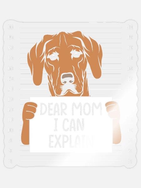 Rhodesian Ridgeback - Sticker Größe S (10 x 10 cm) - Transparent glänzend