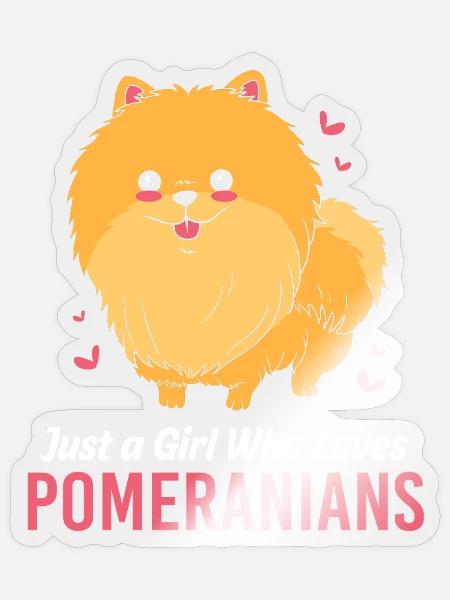Pomeranian Zwergspitz Hund - Sticker Größe S (10 x 10 cm) - Transparent glänzend
