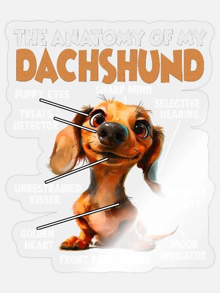 Dackel Hundehalter Geschenk Teckle T - Sticker Größe S (10 x 10 cm) - Transparent glänzend